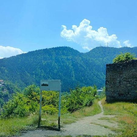Guest House Gogias Cixe Borjomi Exteriör bild