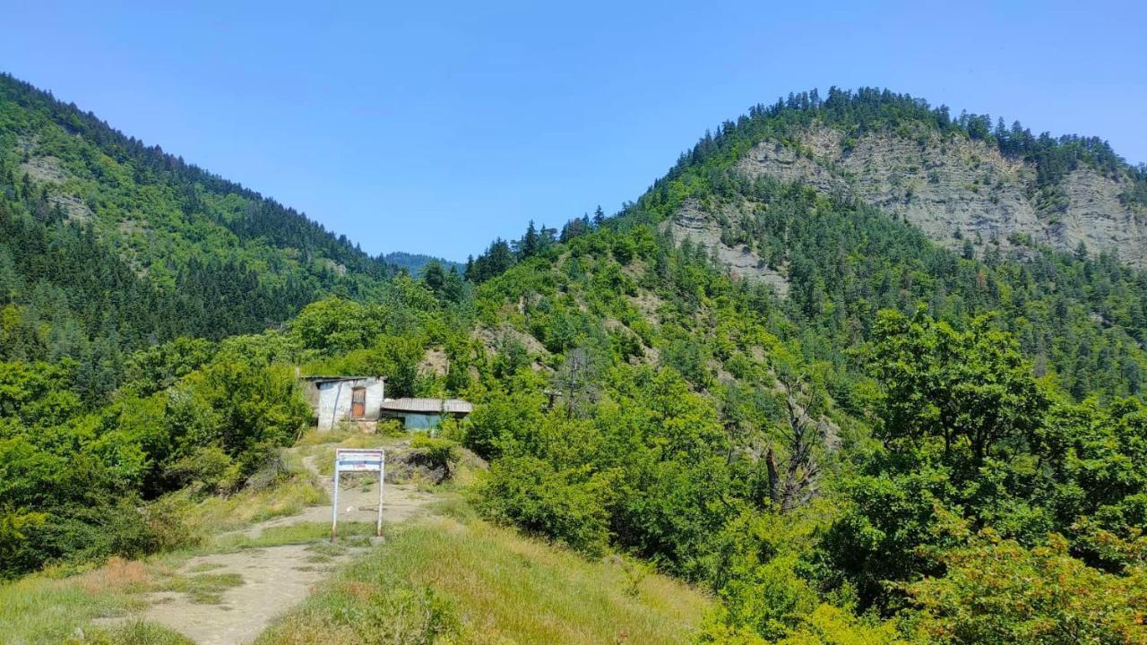 Guest House Gogias Cixe Borjomi Exteriör bild