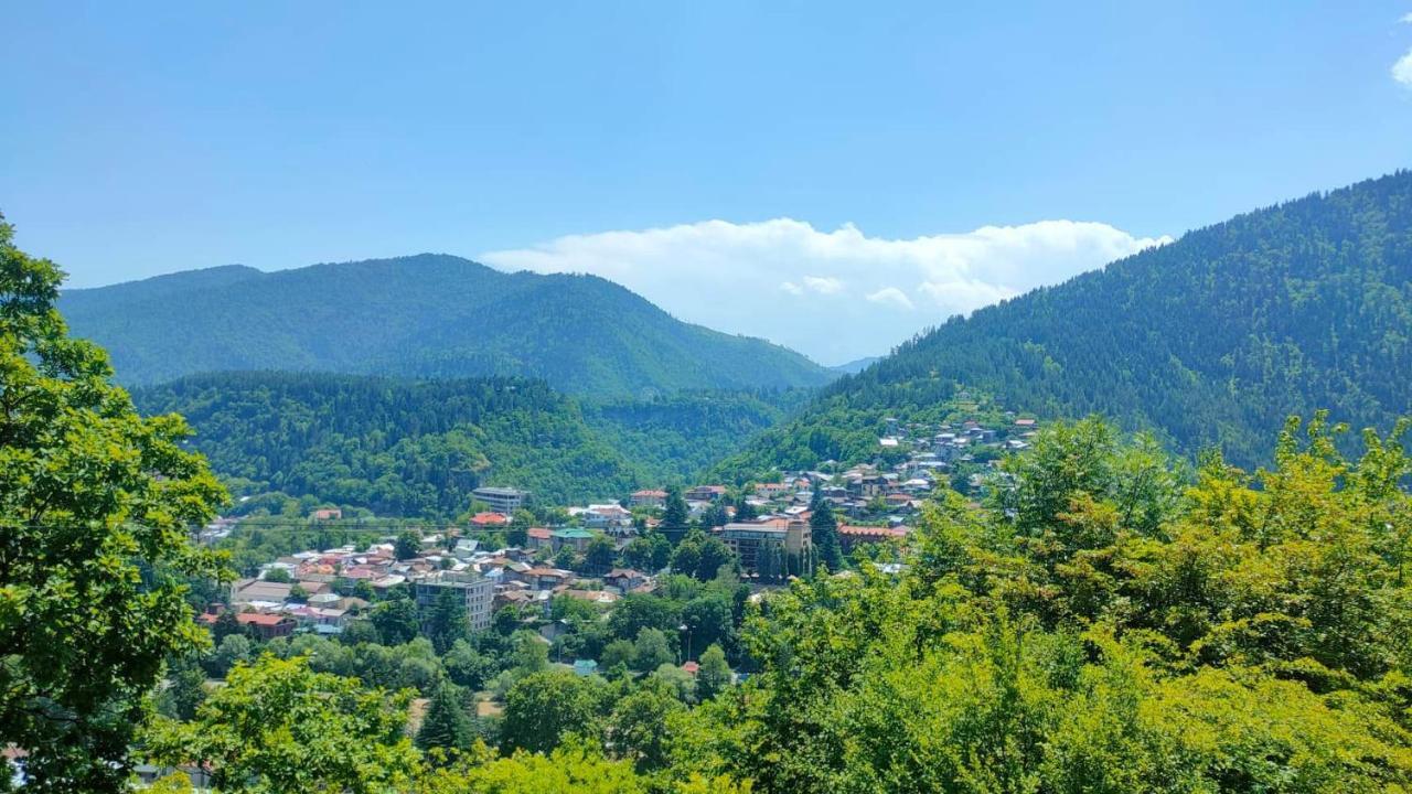 Guest House Gogias Cixe Borjomi Exteriör bild