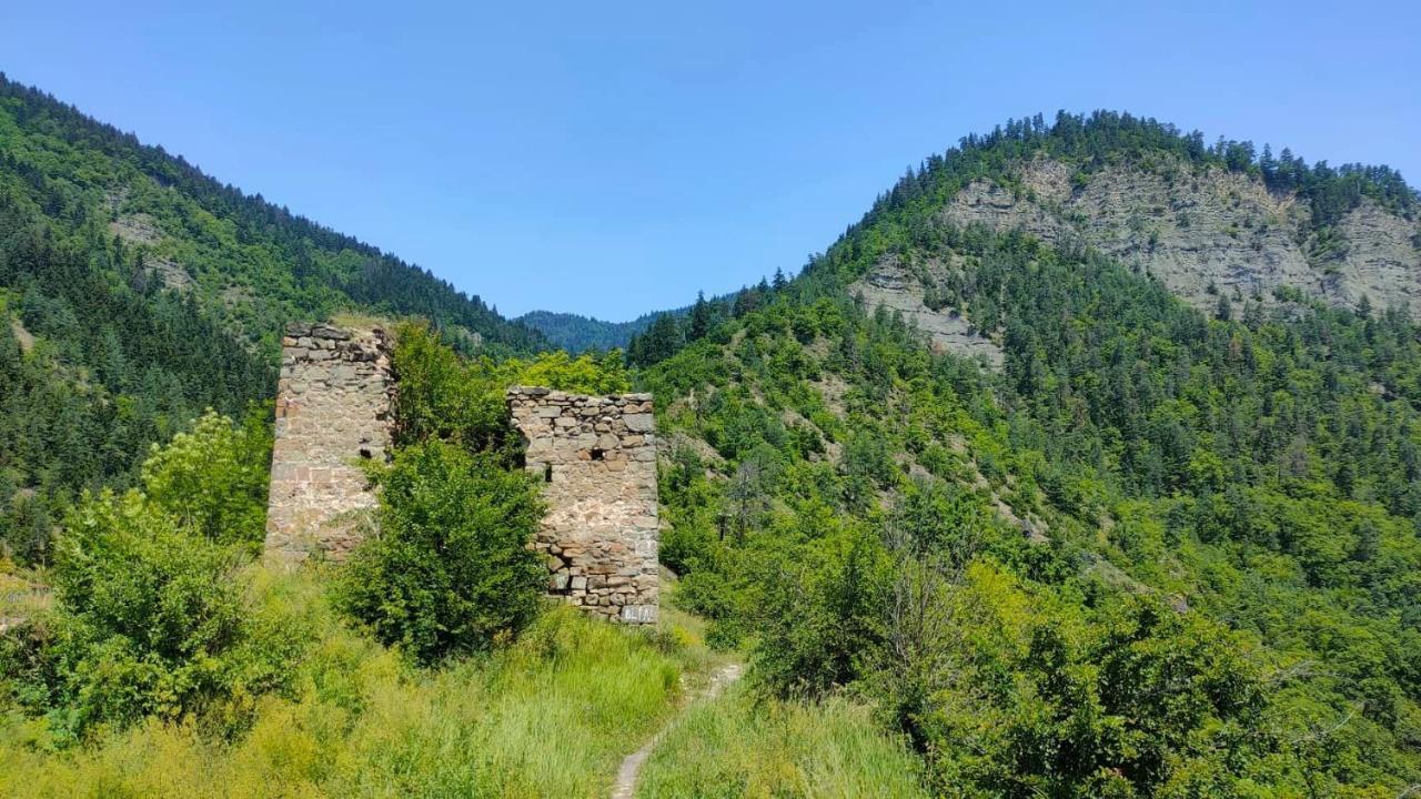 Guest House Gogias Cixe Borjomi Exteriör bild