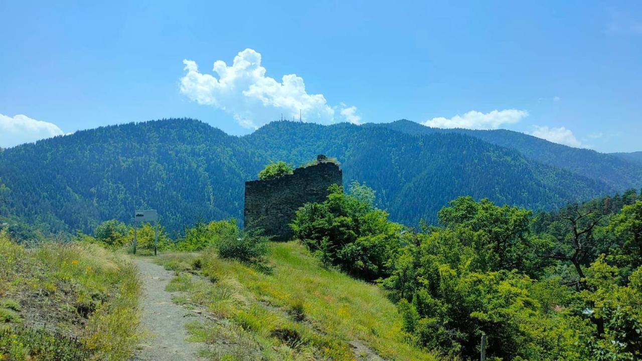 Guest House Gogias Cixe Borjomi Exteriör bild